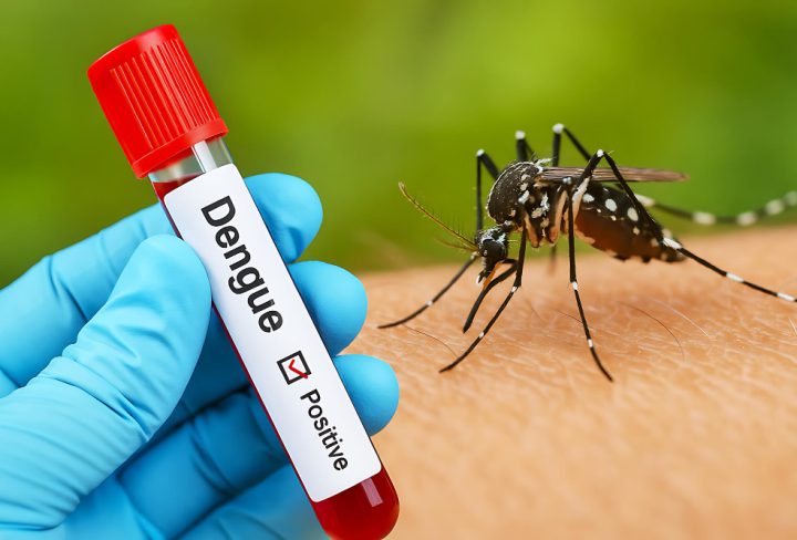 EN-B-PA-CN2301-V221_20251230_030534_v1